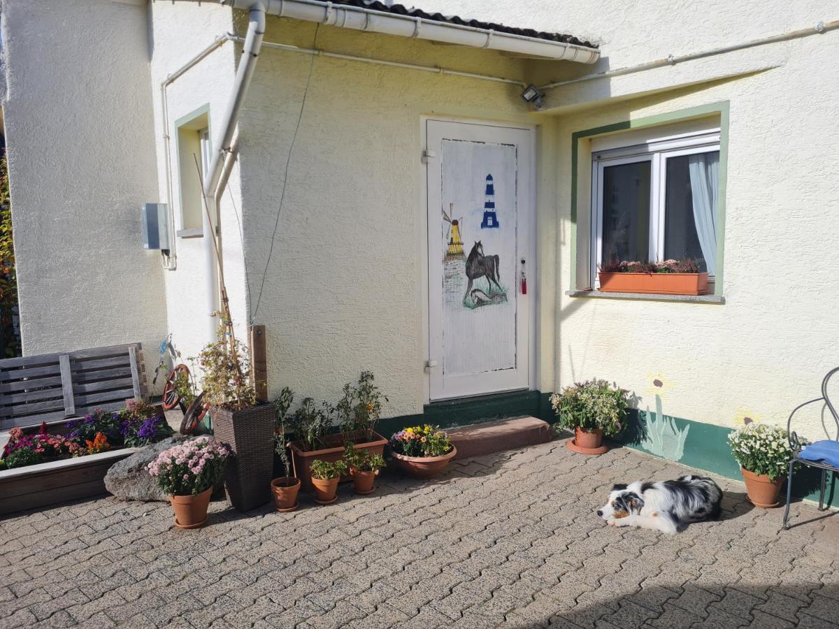 Ferienwohnung Im Wispertaunus Dickschied 外观 照片